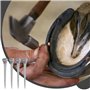HZAOPZE Lot de 50 Clous en Fer À Cheval, Clous pour Sabots, E5 Fer À Cheval Clous Matériau en Acier Accessoire De Fer À Cheval p