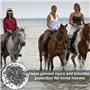 HZAOPZE Lot de 50 Clous en Fer À Cheval, Clous pour Sabots, E5 Fer À Cheval Clous Matériau en Acier Accessoire De Fer À Cheval p