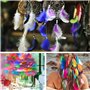 Plumes Multicolores