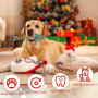 DECUIOCC Jeux interactifs pour chiens et jouets indestructibles - Pack de Noël avec peluche pour chiens et sac cadeau