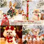 DECUIOCC Jeux interactifs pour chiens et jouets indestructibles - Pack de Noël avec peluche pour chiens et sac cadeau