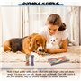 Jeux pour chat, lumière gatto : Set de 50 jouets interactifs pour chat, Jeu chat, ressort chat - Parfaits pour le jeu quotidien 