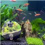 Annlpoy 1pcs Compteur De Bulles De Co2, Accessoires De Pompe à Air pour Aquarium Régulateur de CO2, Système Anti-Retour, Facile 