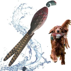 YouXiaor Dummy Jouet d'entraînement pour Chien Jouet pour Chien Canard de Dressage pour Chien Jouet Colvert Canard de Chasse pou