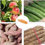 TECKI 2 Pieces Brosse À Légumes Courbée, Pinceau À Fruits, Brosse À Pommes De Terre, Brosses de Nettoyage de Légumes et Fruits, 