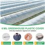 YAMYO Film transparent en polyéthylène pour serre - Extra épais et indéchirable - Pour le jardinage et la serre - 2 x 6 m