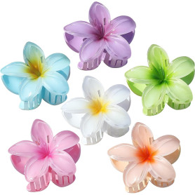 kinoco Pince Cheveux Lot de 6 Pinces à Cheveux Fleur Hawaïenne
