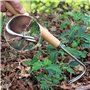 GYSRXS Couteau Desherber de Jardin Outil de Désherbage en Acier Inoxydable Désherbeur Manuelle avec Manche pour Désherbage,Draga