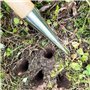 Bulbes de fleurs en acier inoxydable - Planteur d'oignons en bois de frêne - Aide à la plantation - Outils de jardin - Avec tige