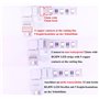 BoHong 5pcs Connecteur sans soudure à Bande LED RGBW de 12mm de Large + 5pcs Connecteur d'angle Ruban LED RGBW de 12 mm de Large