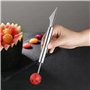 2 Pcs Outil à Découper les Fruits Éplucheur de Fruits Cuillère de Melon, Couteau à Fruits,Cuisine Multifonction en Acier Inoxyda
