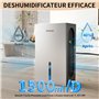 Arrêt Automatique