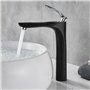 Robinet de lavabo vasque salle de bain corps haut noir Robinet lavabo monotrou Lavabo à 1 trou pour lavabo,LK75239BHC