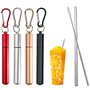 Mauepersu 4 Pcs Paille INOX