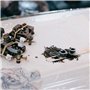 PIQIUQIU Lot de 100 capsules de tatouage - En plastique - Taille moyenne - 13 mm