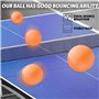 balles de Tennis de Table