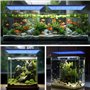Relassy Rampe LED Aquarium 60W Dimmable avec Télécommande - Éclairage pour d'Eau de Mer Récifs Coralliens