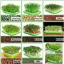 KAHEIGN 6 Pièces Plateaux De Germination De Graines avec Couvercle, 32cm x 26cm Plateau De Germination De Grande Capacité Sain s