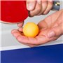 arrderly Lot de 30 balles de ping-pong jaunes pour animaux de compagnie, décorations de fête, convient pour les jeux familiaux, 