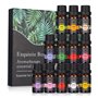Coffret Huiles Essentielles pour Diffuseur