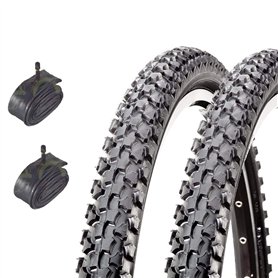 2 pneus CST 20 x 1