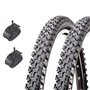 2 pneus CST 20 x 1