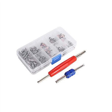 VGEBY1 Assortiment de 102 Outils de démontage A/C R134a/R12 pour Valve de Pneu de réfrigération