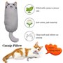 MOSNOW Jouet pour chat - 1 pointeur LED 2 en 1 et 1 jouet pour chat - Jouet interactif pour animal domestique - Outil d'entraîne