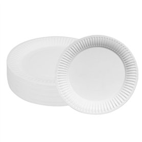 100 Assiette carton