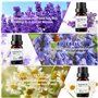 100% Naturelle Bio Huiles Huile Essentielle pour Diffuseur