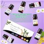 Jomdjmskes Huile Essentielle Kit 6x10 ml, 100% Naturelle Bio Huiles Huile Essentielle pour Diffuseur, Essentielles Aromathérapie
