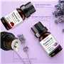 Jomdjmskes Huile Essentielle Kit 6x10 ml, 100% Naturelle Bio Huiles Huile Essentielle pour Diffuseur, Essentielles Aromathérapie