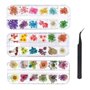 KAHEIGN 96 Pièces Fleur Séchée pour Ongles