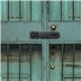 Moraillon de porte en acier inoxydable de 12,7 cm et agrafe pour abri de jardin, loquet de porte robuste et agrafe pour porte, f