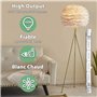 Klarlight R7s 300W Ampoule Halogène 118mm Dimmable J118 R7s Linear Halogen Floodlight Warm White 2800K R7s Ampoule Halogène Dimm