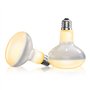 GlowUp 100W Lampe Chauffante Terrarium