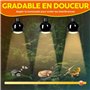Convient aux poussins