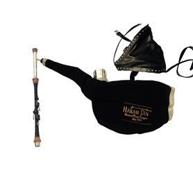 Irish Uilleann Pipes Kit d'entraînement en D cornemuse pour débutant avec chanteur en laiton 4 touches