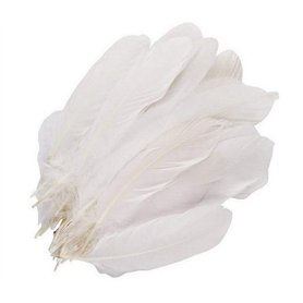 Lot de 100 plumes d'oie blanches pur de 15