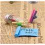 Bamboopack Lot de 12 petits flacons en verre de 30 ml avec couvercles à visser en aluminium pour échantillons de messages de sou