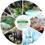Nynel 20pcs PH Test Meter Mesure lot Solution tampon de mesure de la poudre tampon pH Point d'étalonnage Regard Pour pH Mètre Ét