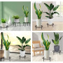2 Pièces Pot de fleur Stand, Metal Art Plant Stand Rack Style européen pot de fleur titulaire pour jardin Table Ronde de Jardin,