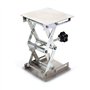 100X100mm Plateforme De Levage en Acier Inoxydable Plateforme De Levage Support De Ciseaux Lab-Ascenseur Lifter pour Expériences