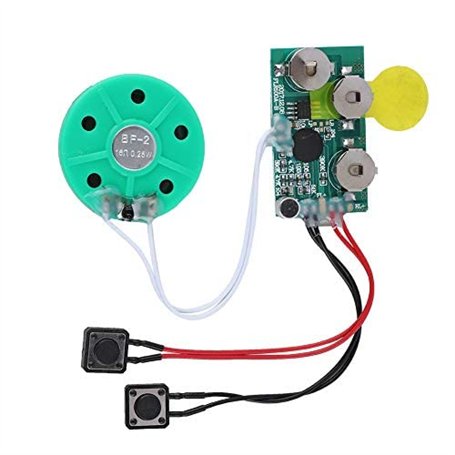 Mugast DIY Module Vocal Enregistrable