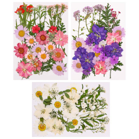 Xinzistar 105 pièces Ensemble de Fleurs séchées pressées Naturelles pour Bricolage Mélange Fleurs séchées de DIY Bougie Peinture
