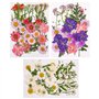 Xinzistar 105 pièces Ensemble de Fleurs séchées pressées Naturelles pour Bricolage Mélange Fleurs séchées de DIY Bougie Peinture