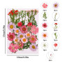 Xinzistar 105 pièces Ensemble de Fleurs séchées pressées Naturelles pour Bricolage Mélange Fleurs séchées de DIY Bougie Peinture