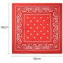 bandeaux en nylon Paisley foulard Cowboy Bandana