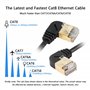 40 Gbit/s 2000 MHz SFTP pour routeur