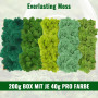Murs de Mousse